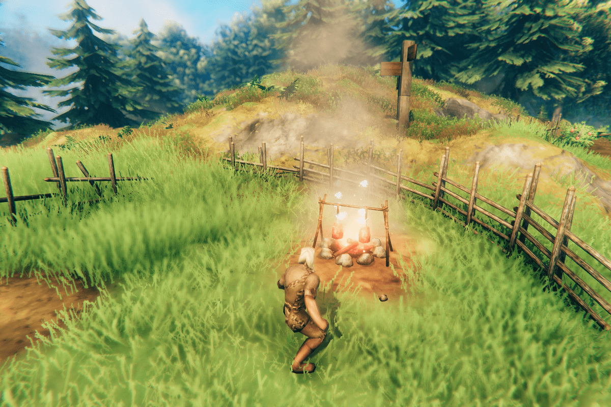 Valheim on Linux